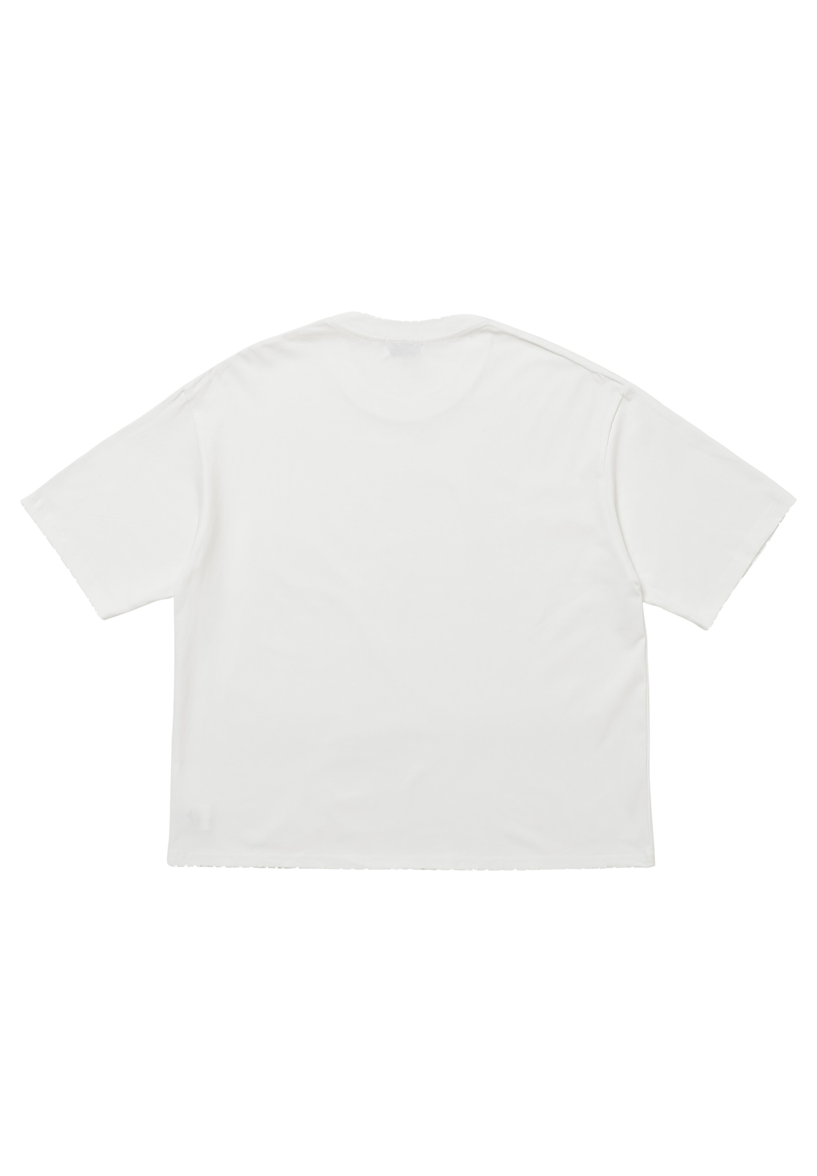 SYS BASIC T