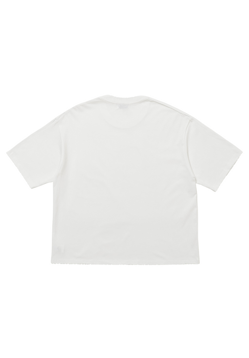 SYS BASIC T